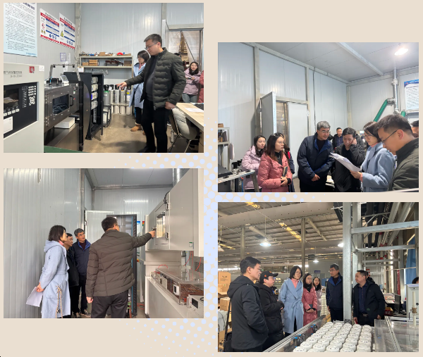 /uploads/image/2025/01/16/1736992714295.jpg 1736992714295.jpg